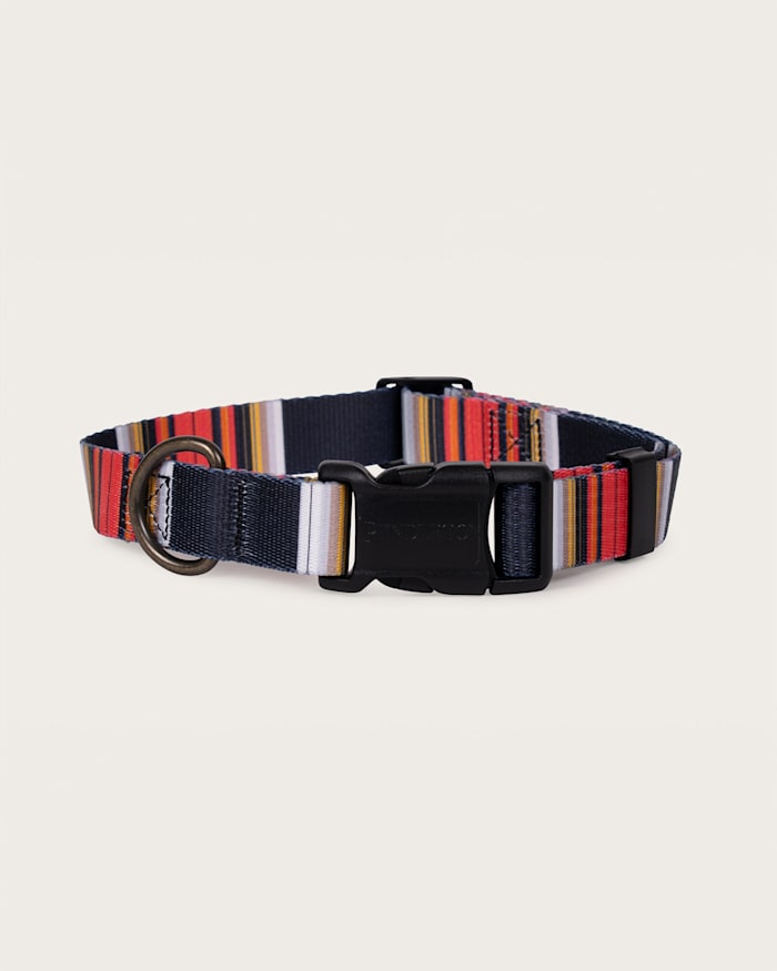 ACADIA NATIONAL PARK ADVENTURE COLLAR